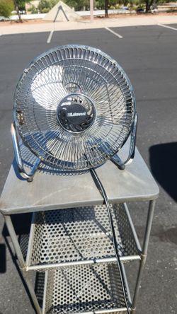Fan