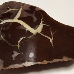 Michigan Lightning Stone