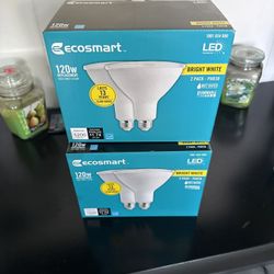 Ecosmart 120w