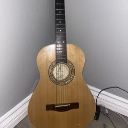 greg bennet acoustic guitar