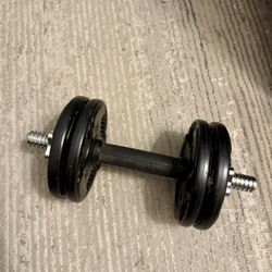 10lb Dumbbell