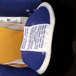 Nike Dunks 8 1/2 