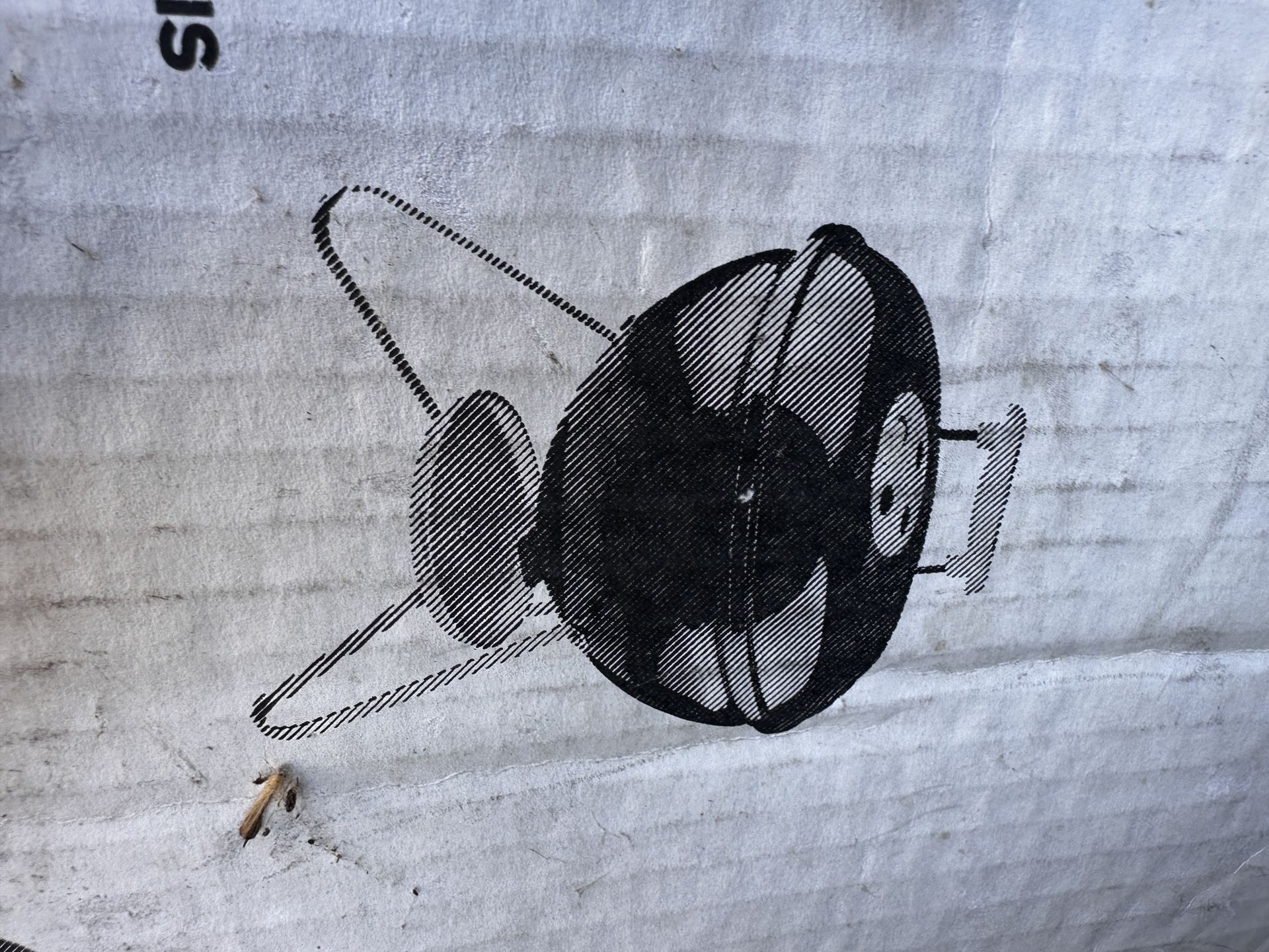 Weber BBQ Grill