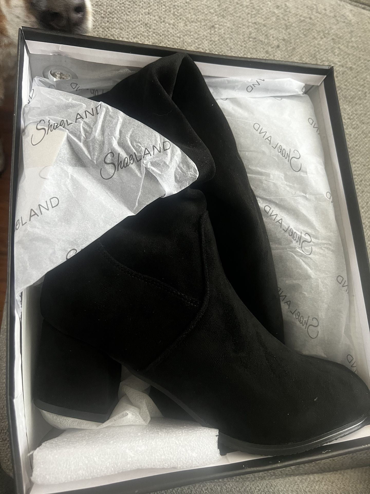 Brand New Thigh High Boots