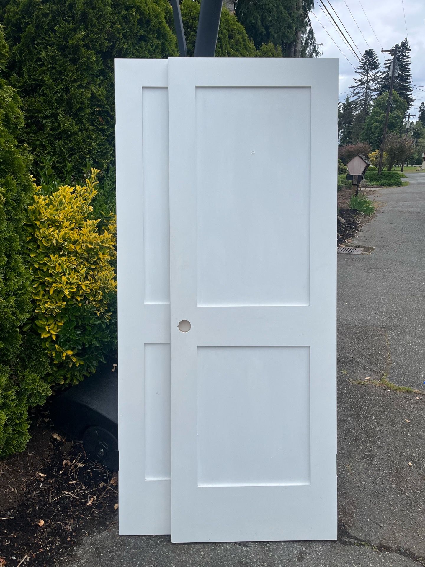 28” x 80” Solid Wood 2-Panel Doors