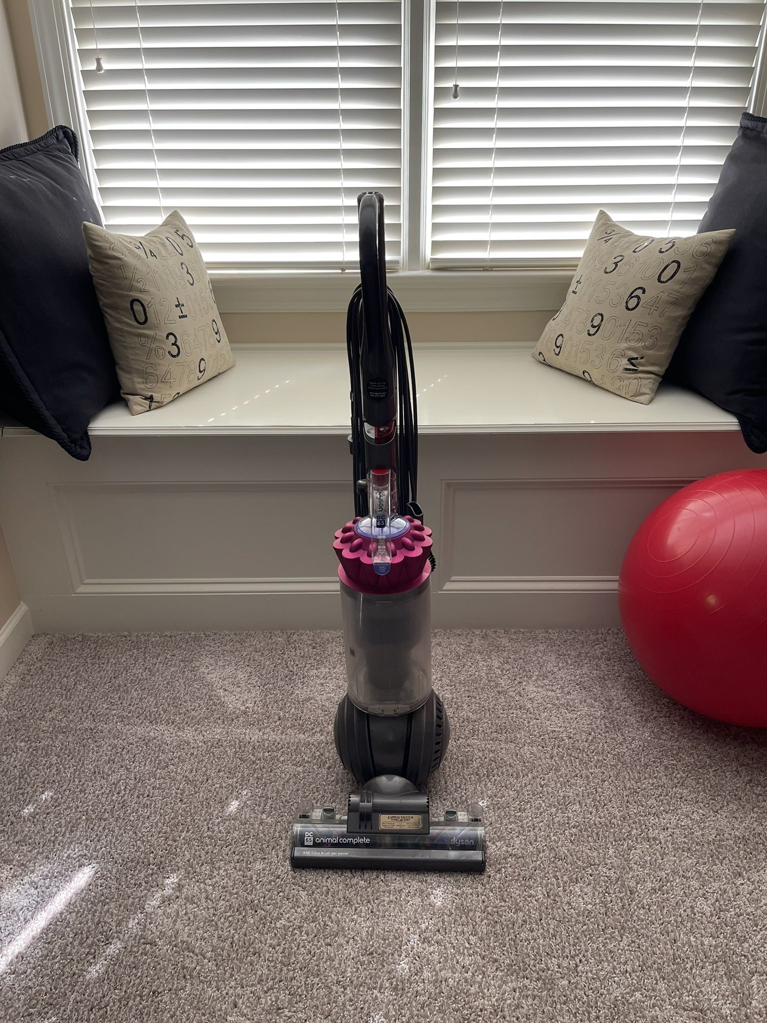 Dyson Animal Control Vacuum