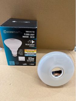 ecosmart - Flood Light Indoor BR30 with Bluetooth Speaker - 65 Watts Replacement Bulb, 650 LUMENS