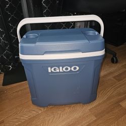 Igloo 30 Qt Cooler
