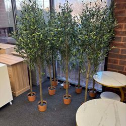 6FT Artificial Olive Tree Indoor Tall Realistic Faux Olive Tree with Plastic Planter($25 each)