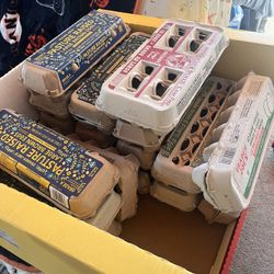 Free Egg Cartons- Must Take All