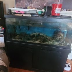 75 Gallon Fish Tank & Stand