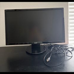 Computer Monitor 22"x13"