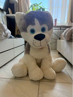 Toy a stuffed animal husky