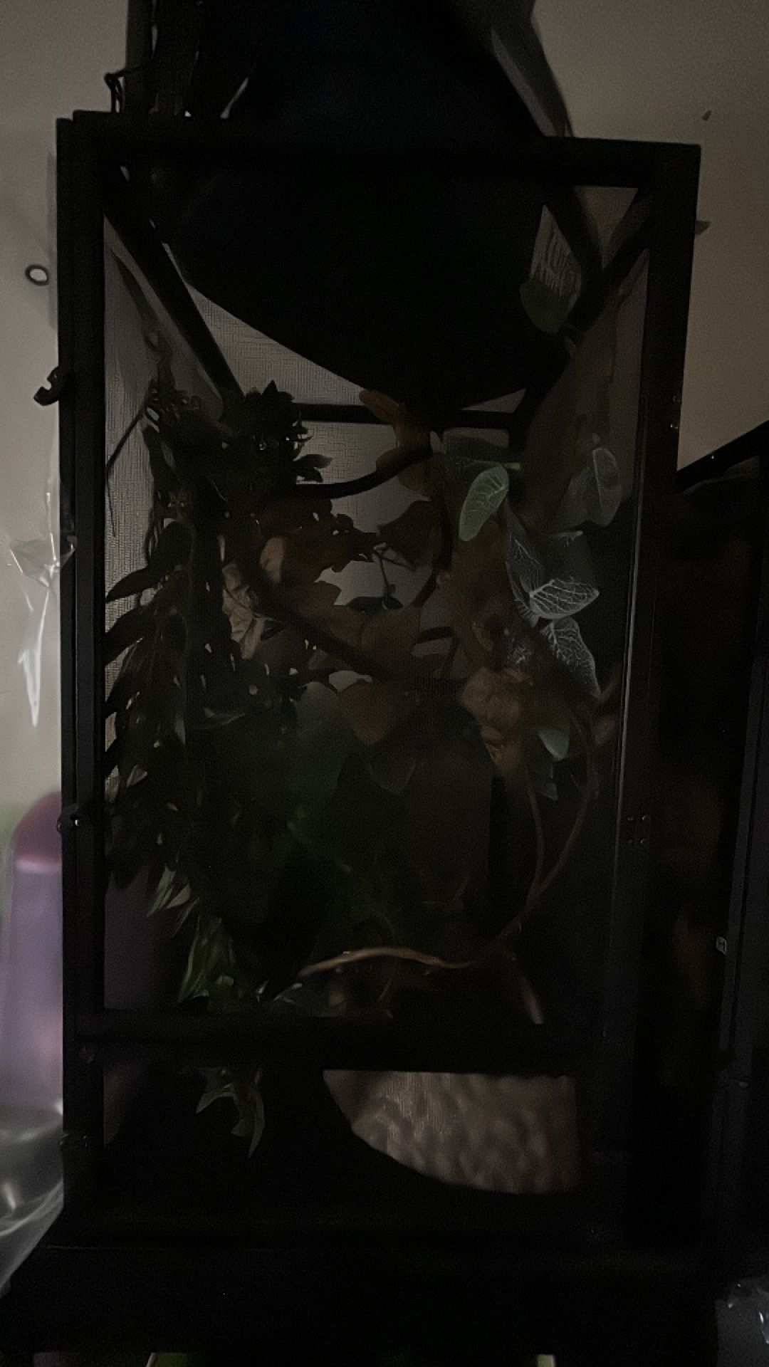 Reptibreeze Enclosure