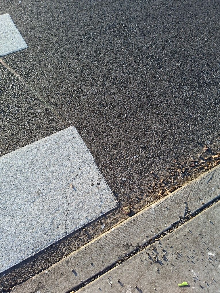 Lost Tan Backpack $100 Reward