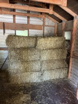 Alfalfa & Timothy T&A Hay