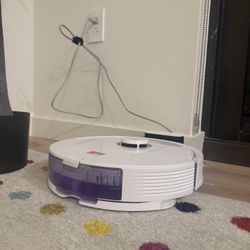 Roborock robot vacuum with mopping feature.