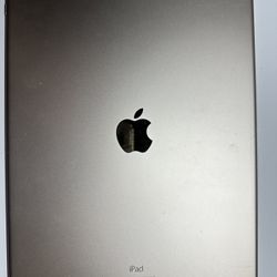 iPad Pro 12.9 Inch