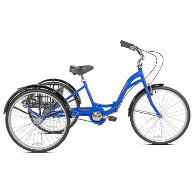 Adult Trike/bike