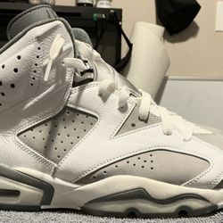 Jordan 6s