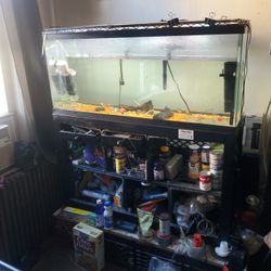 55 gallon fish tank with fishes pumps everything lights included