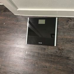 Taylor Scale Retail Price $20 Plus Taxes 