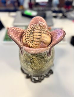 Alien Ovomorph Cookie Jar 9” Tall