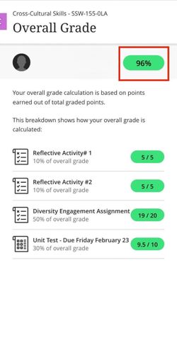 College Essays, Assignments & Online Course Support