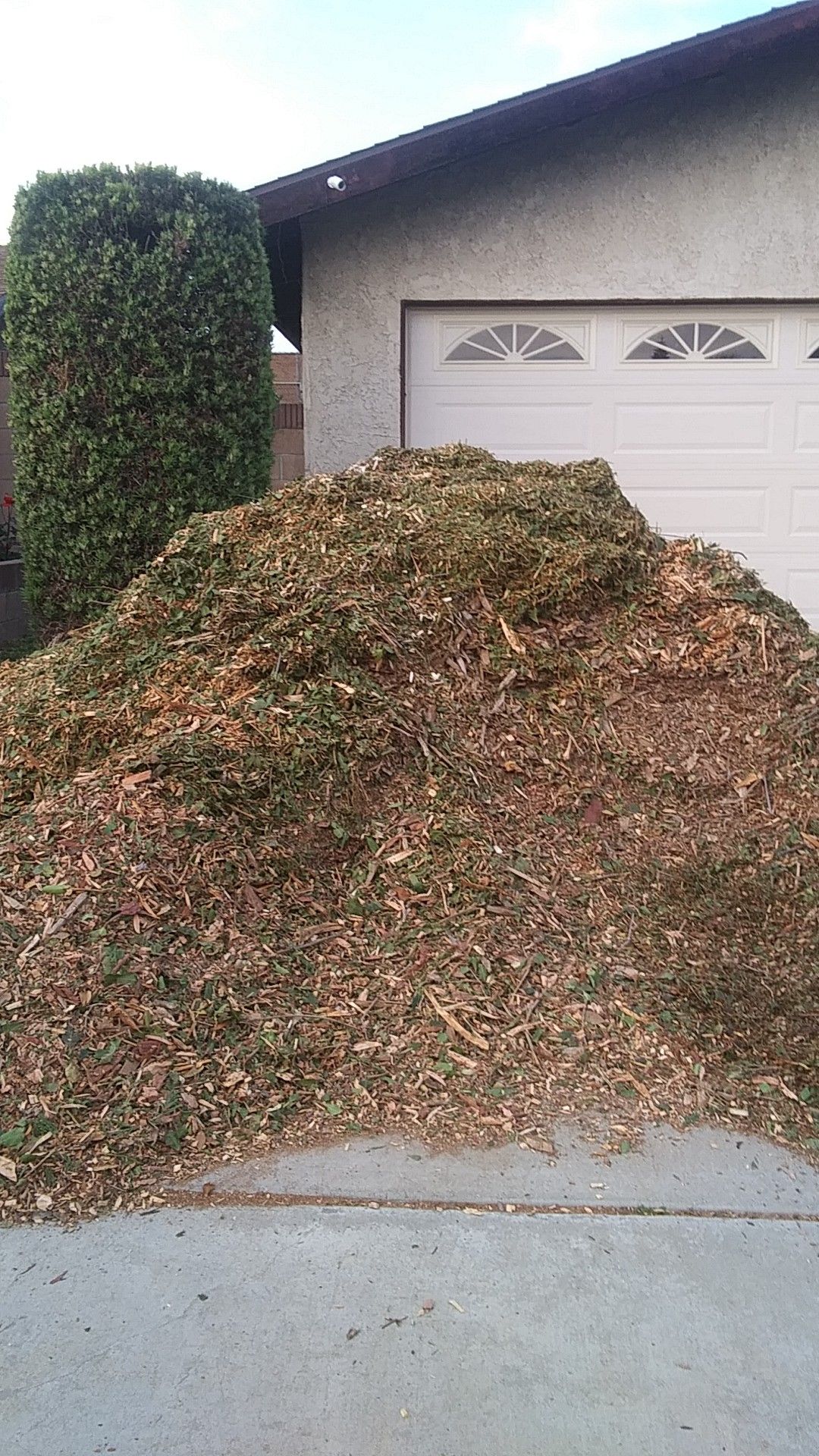 Free mulch. You pick up, will have up untill its gone for Sale in Los