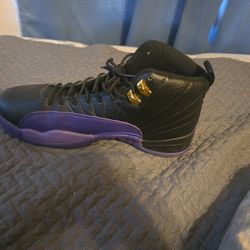 Nike Air Jordan 12 Retro OG Field Purple Black Size 12