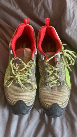 New pumas make offer