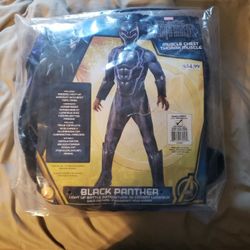 Black Panther Costume