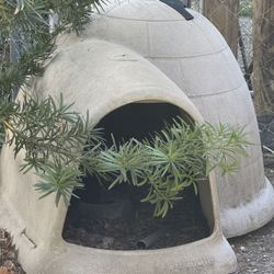Igloo Dog House 