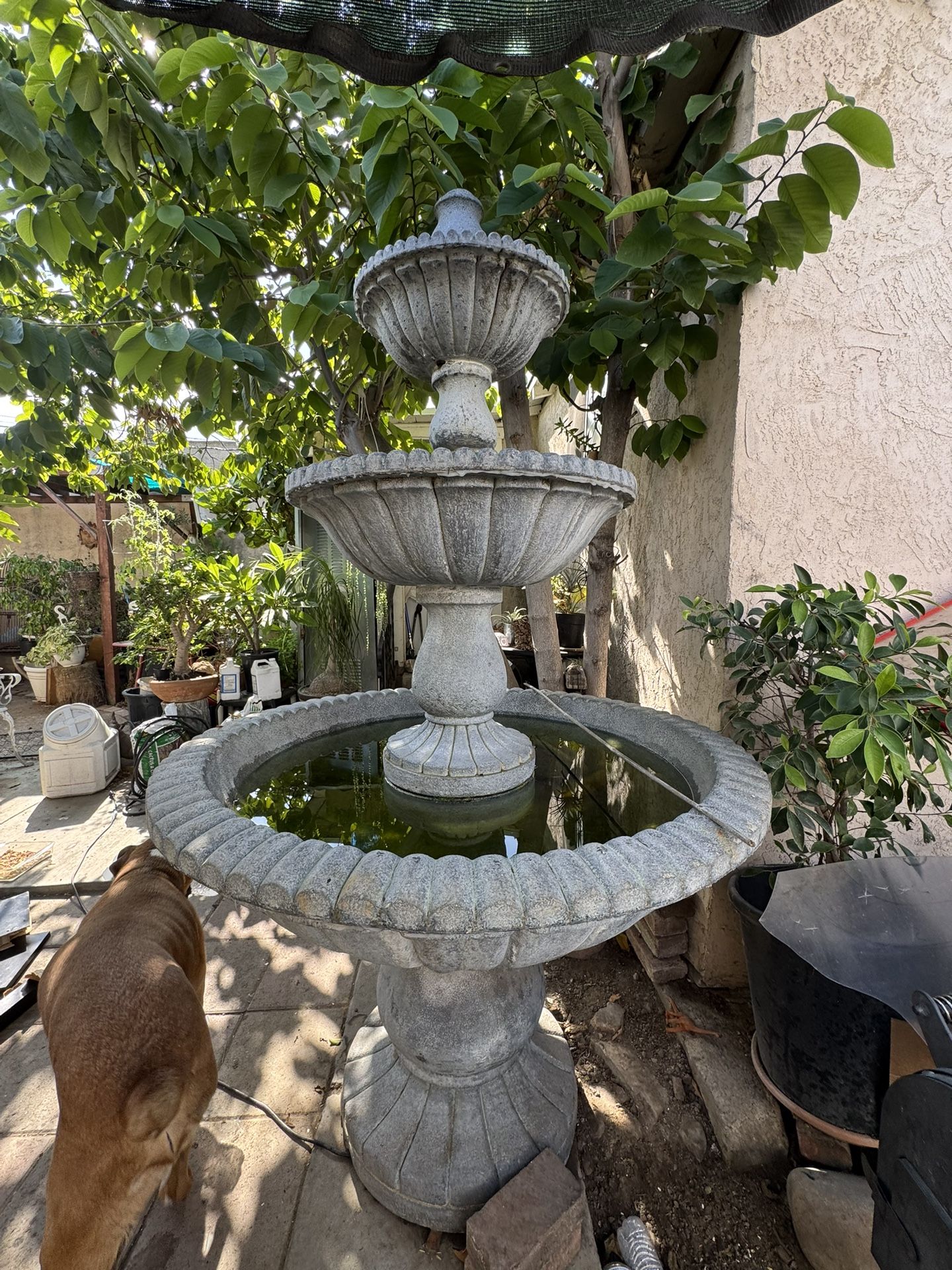 Out Door Big Fountain ⛲️