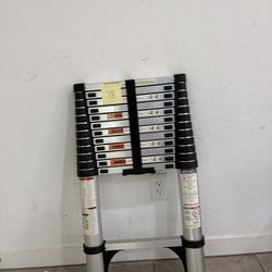 12.5ft telescopic ladder