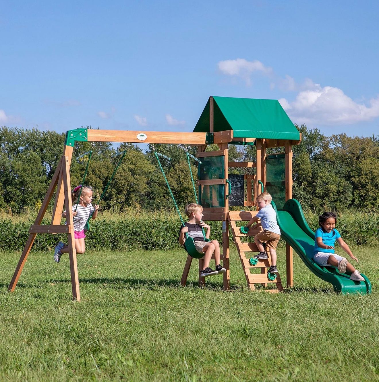 Brand New In The Box Backyard Discovery Buckley Hill Swing Set