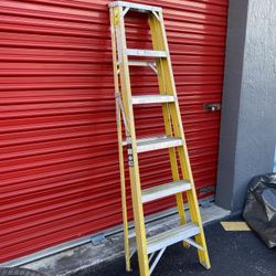6ft Ladder