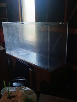 75 gal fish tank with stand
