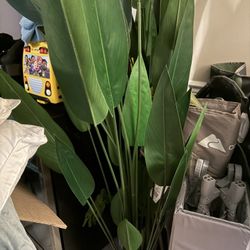 Fake Plant
