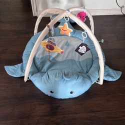 Baby play Mat 
