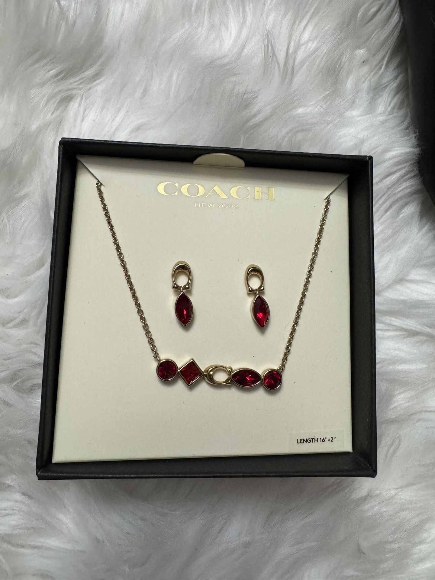 Coach Earrings And Necklace Set