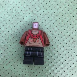 Harry Potter Lego Pieces