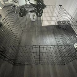Dog Cage