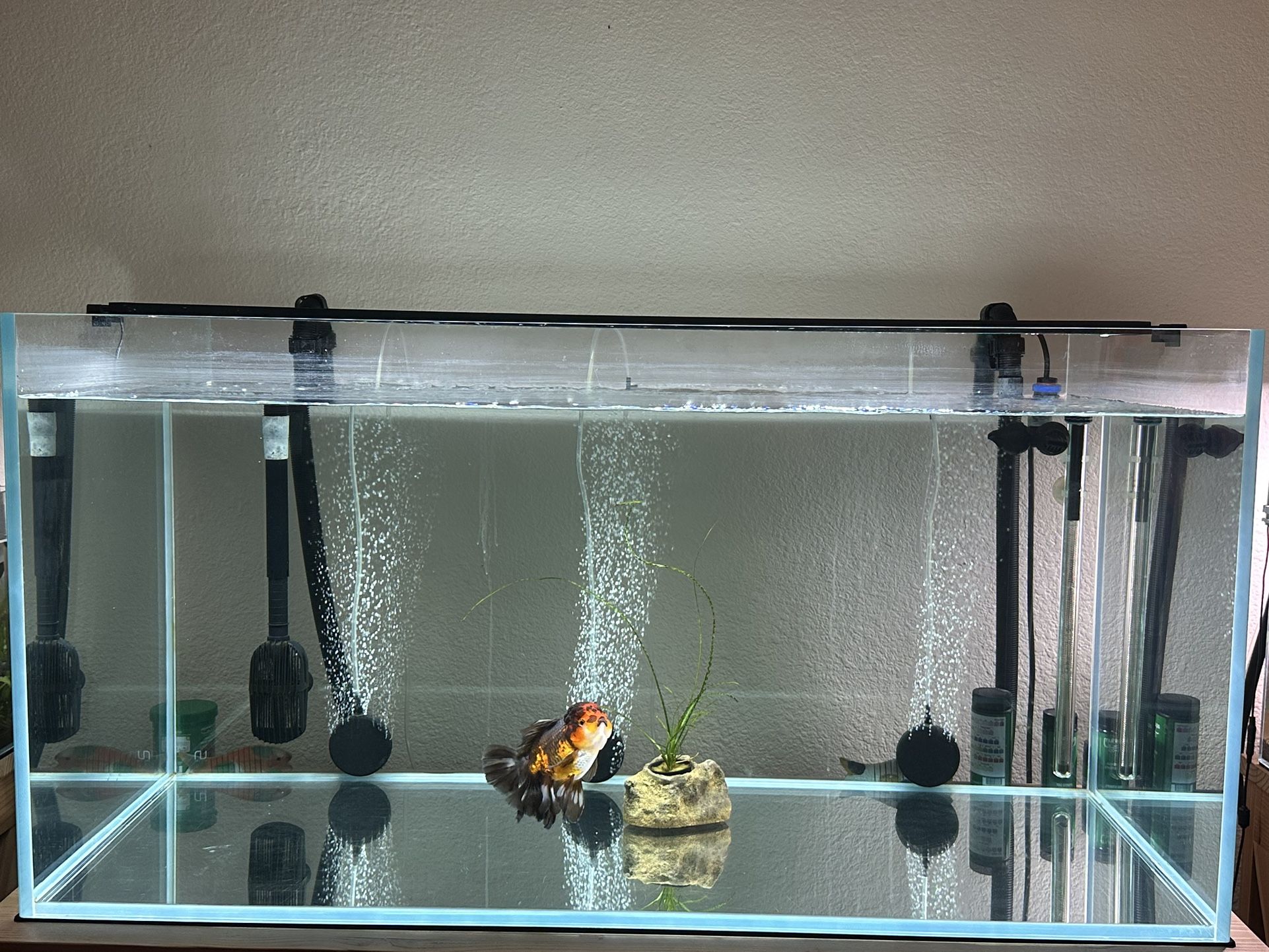 UNS 120U Ultra Clear Rimless Aquarium (114 GAL) - Ultum Nature Systems