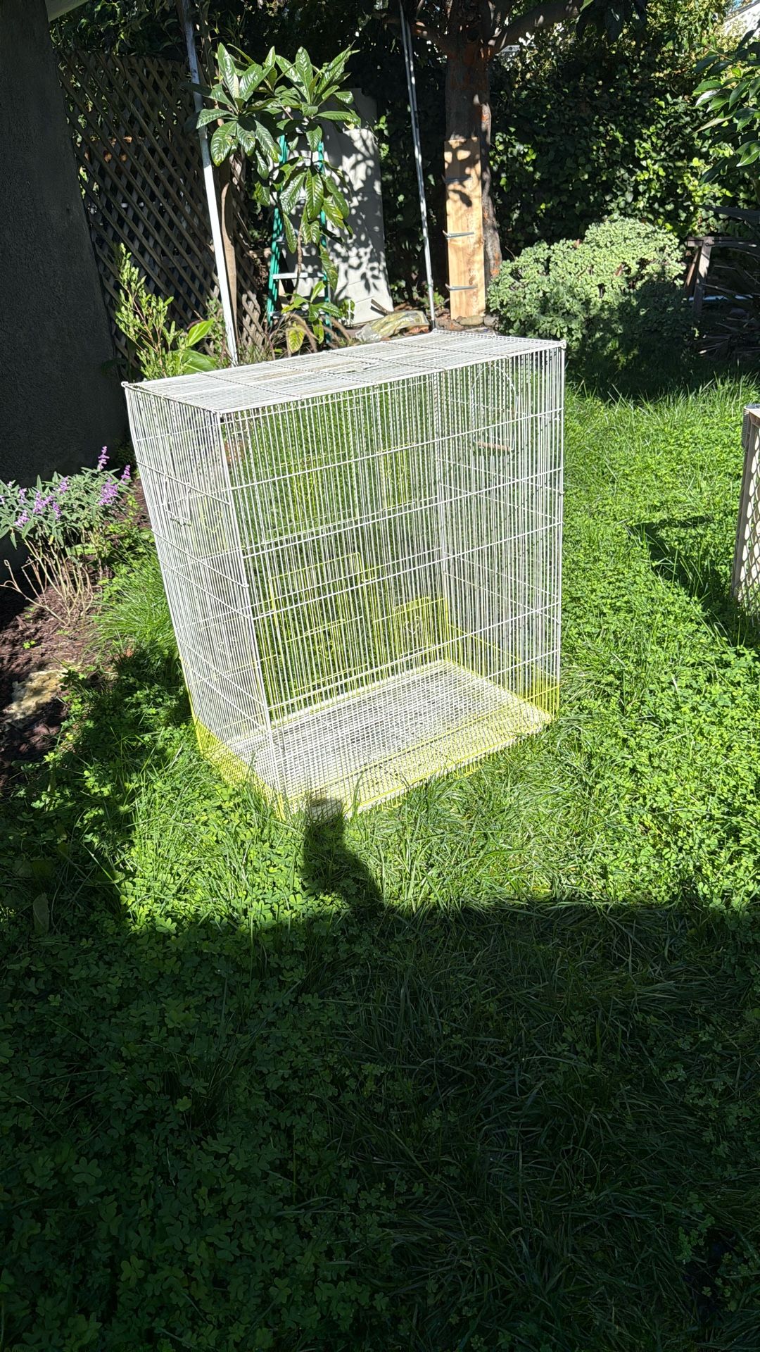 Bird Cage 