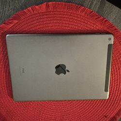 iPad 9th Generation  256g