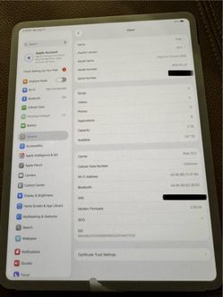 iPad Pro 13 inch Cellular 2TB