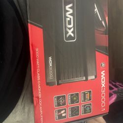 3000 Watt Amp