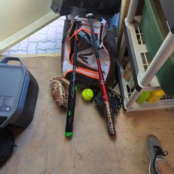 Softball Bats And Gloves