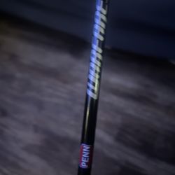 Penn warfare rod and reel combo